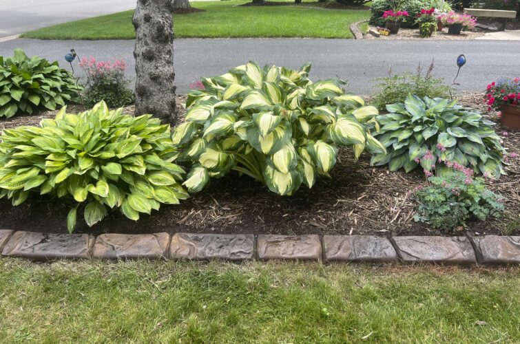 boise-natural-stone-garden-edging