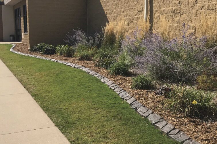commercial-landscape-concrete-edging