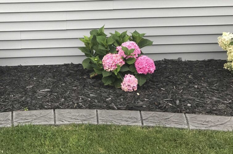 flower-bed-natural-concrete-curbing