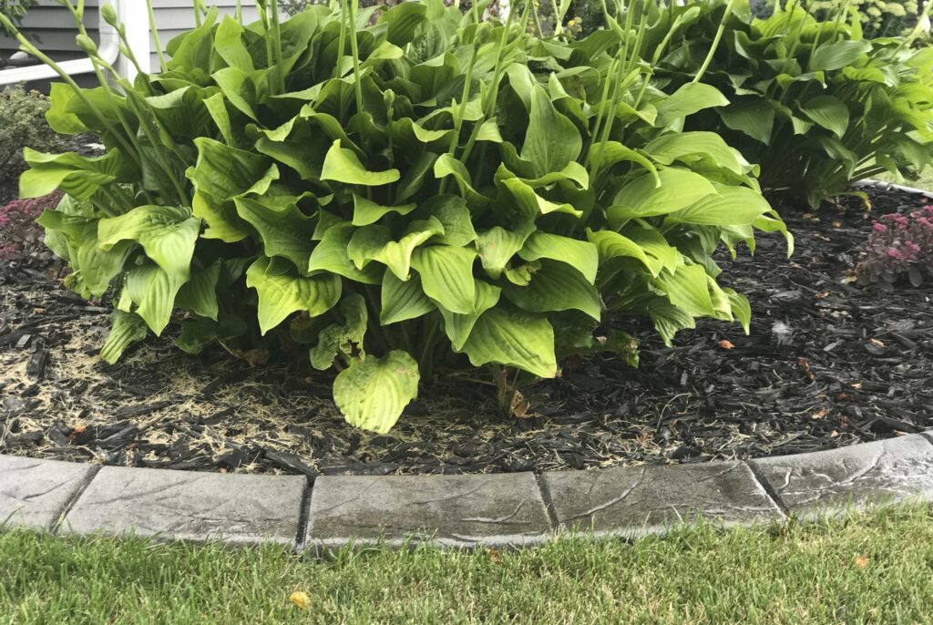 spanish-tile-natural-concrete-curbing-