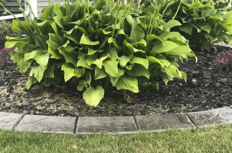 spanish-tile-natural-concrete-curbing-