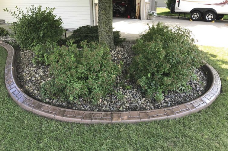 tree-shrub-bed-concrete-edging