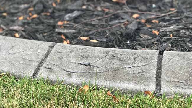 Durable Concrete Curbing: Long-Term Value for Twin Cities Homes 2 Concrete edging separates green grass from a mulch-covered garden bed, with fallen leaves scattered on both surfaces.
