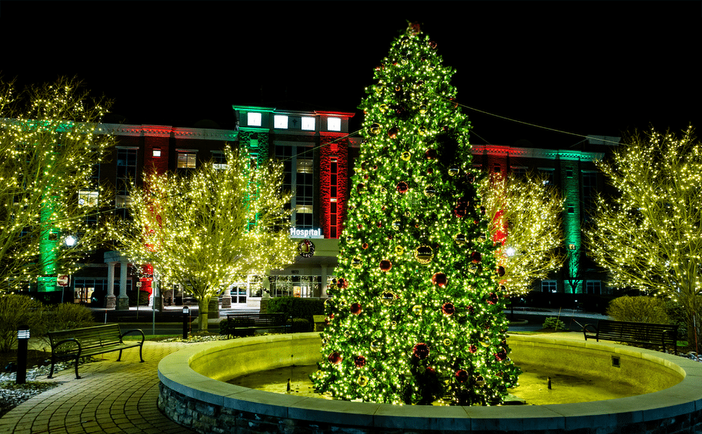 A large decorated Christmas tree stands in the center of a plaza, surrounded by illuminated trees and a building lit with red and green lights at night, creating a stunning Holiday Light Installation in the Twin Cities.
