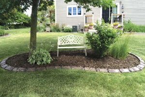 A white metal bench sits on mulch under a tree in a landscaped garden bed bordered by stones, with plants and grass surrounding it in a backyard Showcase Gallery setting.