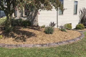 A landscaped garden bed with wood mulch, shrubs, and small plants bordered by stone edging creates a stunning showcase gallery next to a house with beige siding and windows.