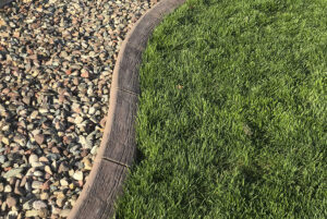 A concrete border separates a patch of green grass on the right from an area of small, multicolored rocks on the left, creating a natural Showcase Gallery in your outdoor space.