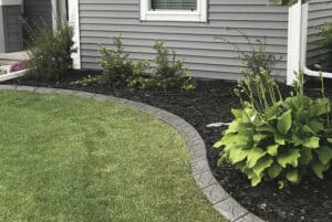 A landscaped yard with green grass, curved stone edging, dark mulch, shrubs, and hosta plants next to a gray house with white trim creates a Showcase Gallery of outdoor beauty.