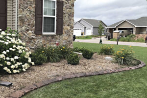 Stone house with brown shutters, flower bed bordered by rocks, white hydrangeas, yellow daylilies, and green shrubs; a Showcase Gallery of suburban charm with neighboring houses in the background.