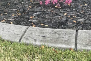 A concrete garden border separates green grass from mulch, with some fallen leaves and a flowering plant with pink blooms in the Showcase Gallery-inspired background.
