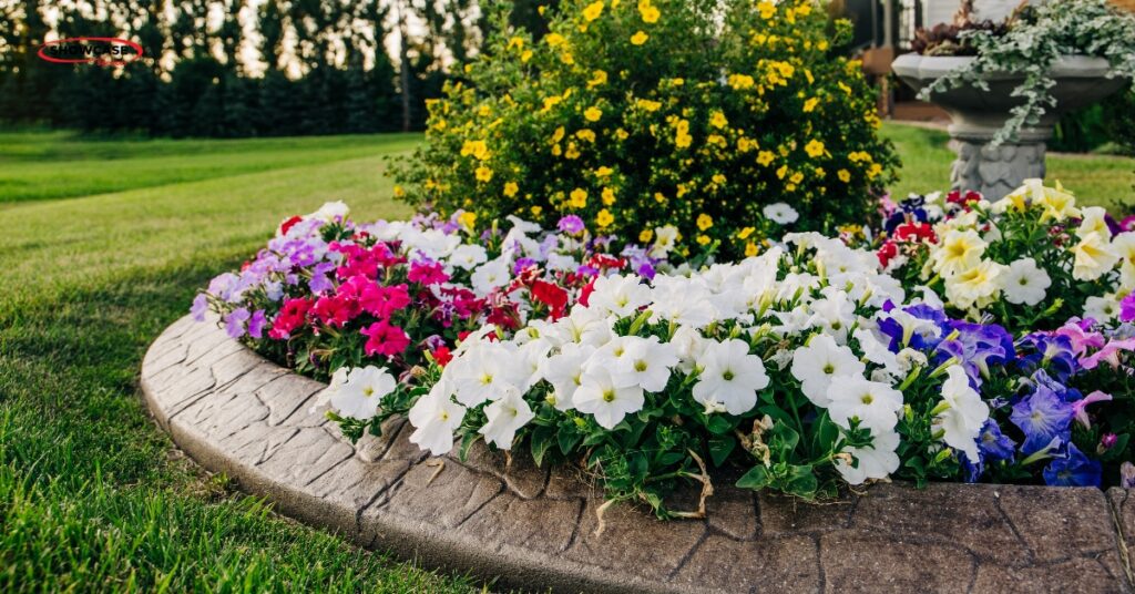 Decorative concrete curbing installation in a residential yard