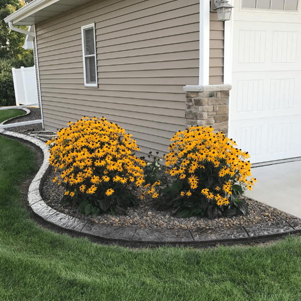 2 Close-up of freshly poured decorative concrete border with cobblestone stamp