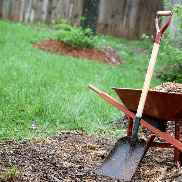1 A yard with shifting mulch and disorganized landscape edging in snowy conditions
