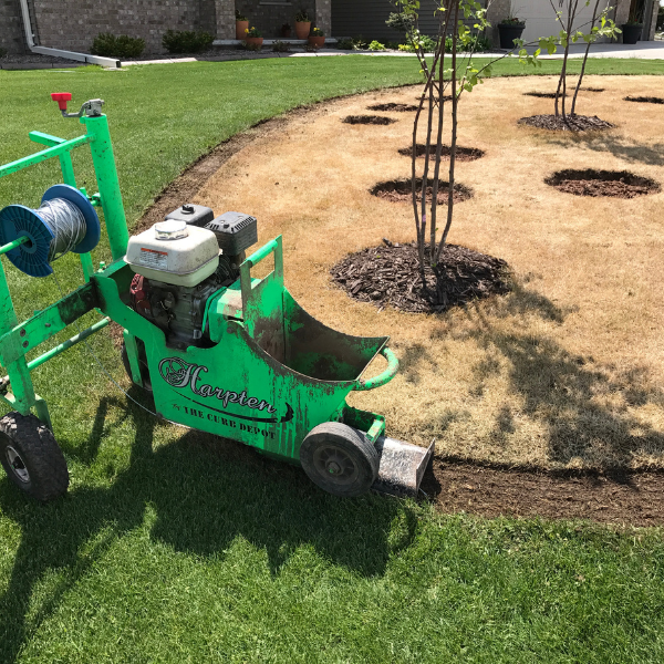Trusted Twin Cities concrete curbing team with customer Local concrete curbing team with happy homeowner in front of landscaped yard